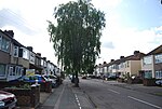 Thumbnail for File:Trees, Grove Park Rd - geograph.org.uk - 2598802.jpg