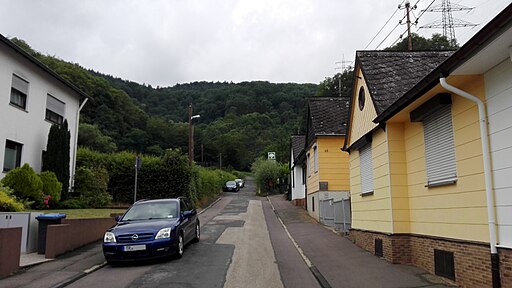 Trier, Am Irrbach 20190711