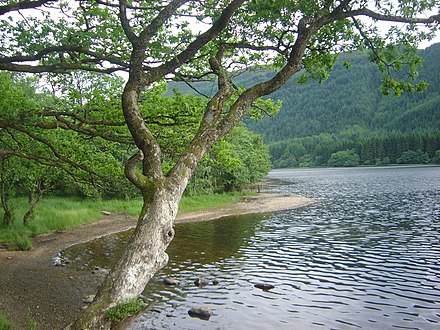 Loch Chon, in the Trossachs