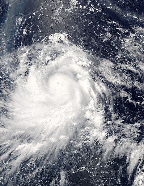 File:TyphoonNesat2005.jpg