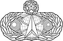 USAF - Occupational Badge - Master Space and Missile.jpg