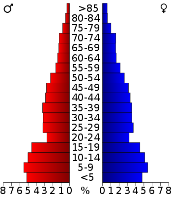 USA Maverick County, Texas age pyramid.svg