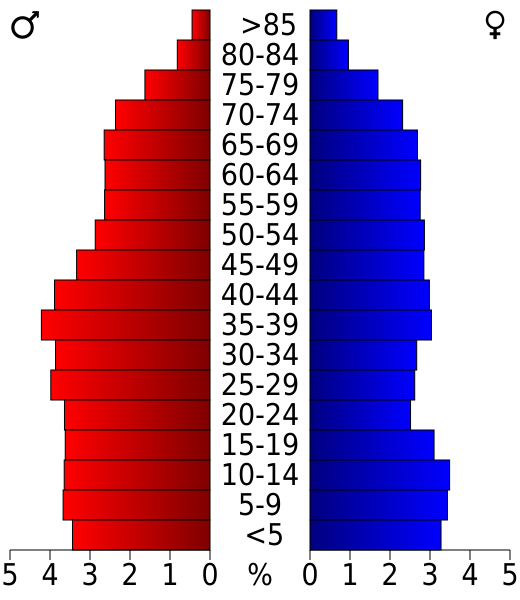 File:USA Pinal County, Arizona age pyramid.svg