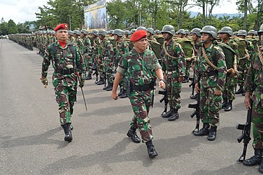 Raid (military) - Wikipedia