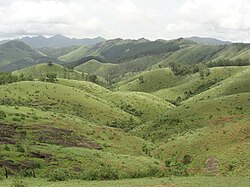 Vagamon Çayırı 1