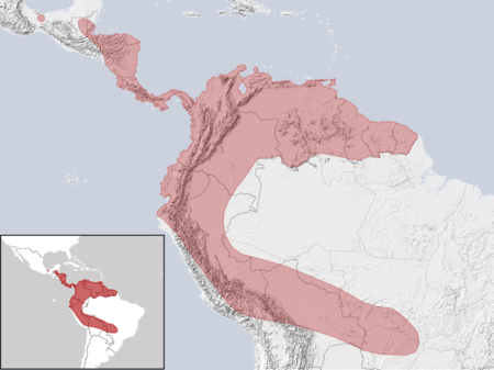 Tập_tin:Vampyrum_spectrum_distribution_(gray).png