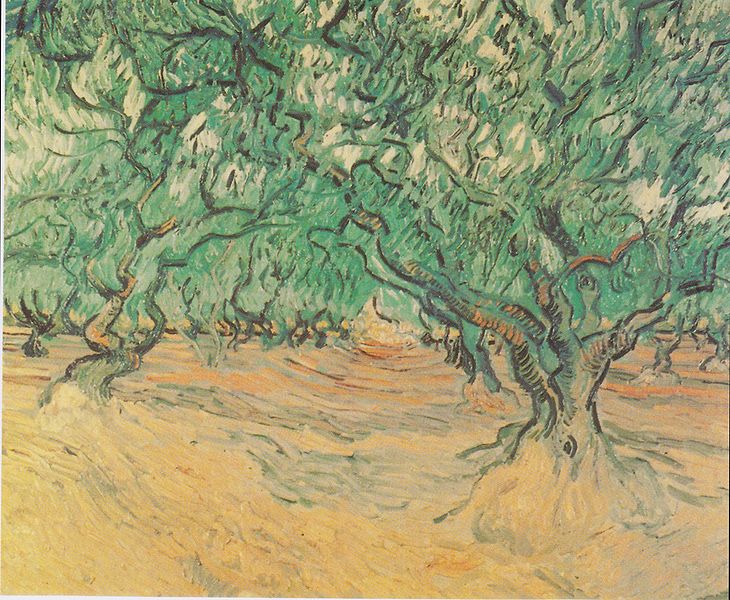 File:Van Gogh - Olivenbäume.jpeg