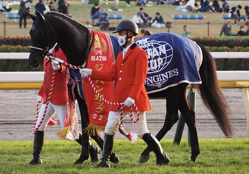 File:Vela Azul 2022 Japan Cup.jpg