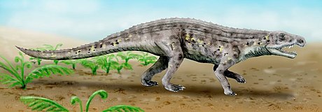 Venaticosuchus