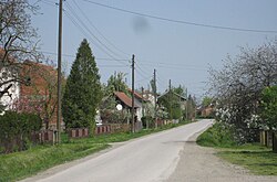 Utcarészlet