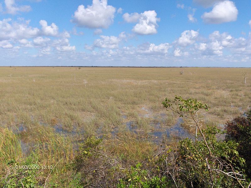 File:View from Pa-hay-okee in the Everglades^ - panoramio.jpg