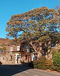 Thumbnail for File:View of "The Anglers' Rest", Bamford - geograph.org.uk - 2655300.jpg