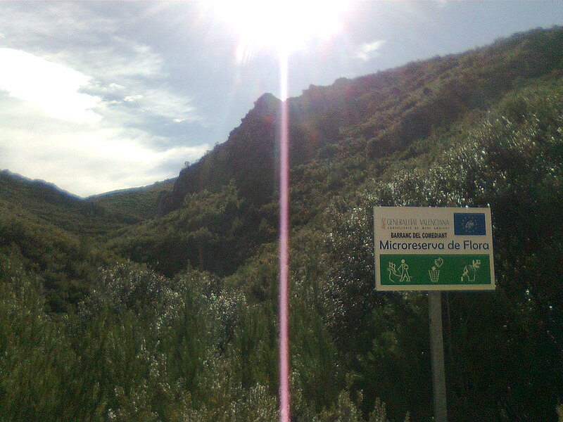 File:Vista de la Microreserva "Barranc del Comediant".jpg