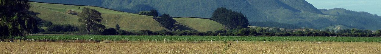 WV banner Bay of Plenty Putuaki landscape.jpg