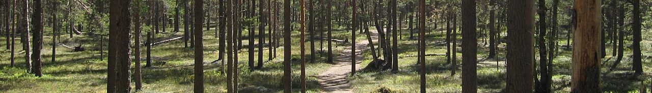 WV banner Lauhavuori National Park.jpg