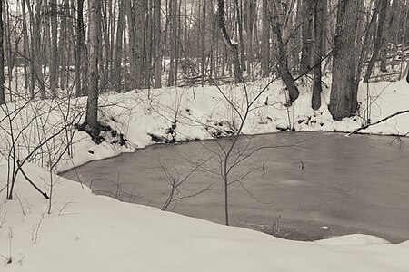 Webb Mountain Park I