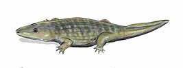 Vetugazaurus