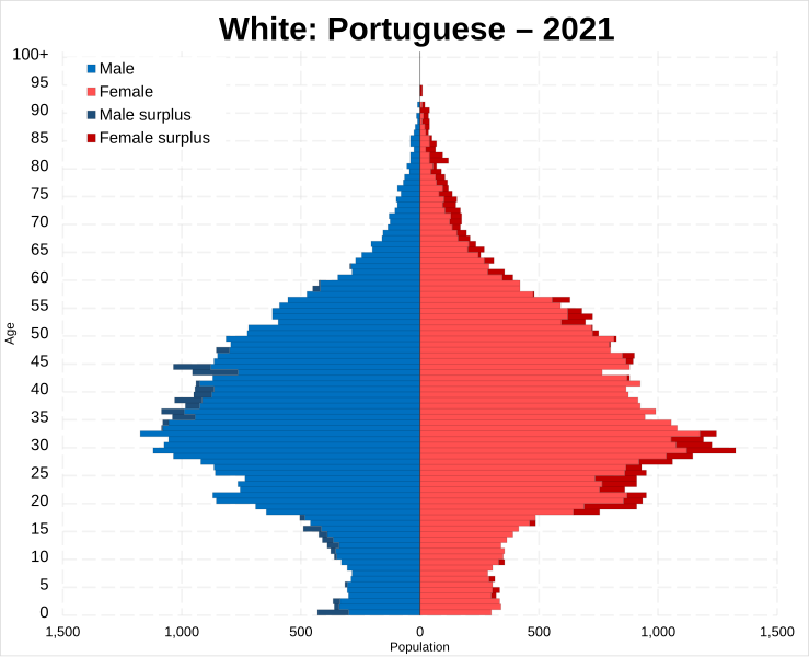 File:White Portuguese population pyramid 2021 in England and Wales.svg