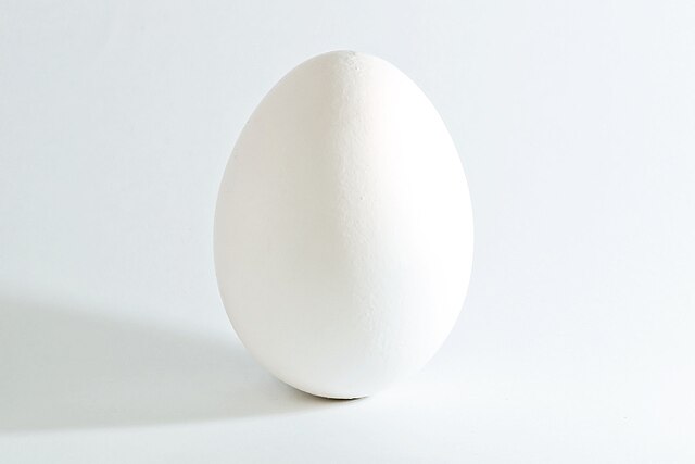 File:Chicken egg.png - Wikipedia