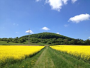 Utsikt fra et felt nær Ippinghausen sørvest til Weidelsberg