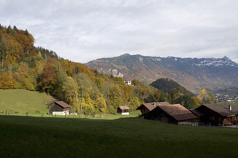 File:Wilderswil - panoramio - Patrick Nouhailler's… (10).jpg