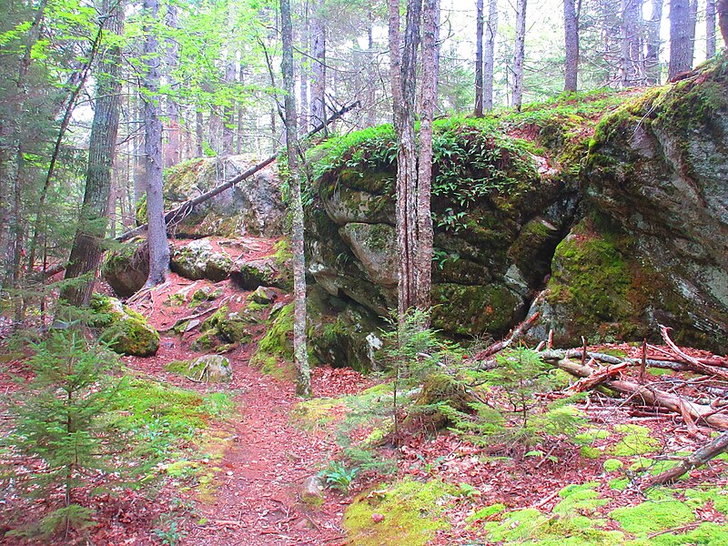 File:Wolfe's Neck Woods State Park rock outcropping.JPG