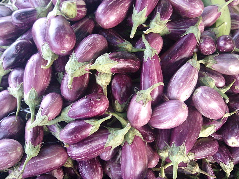 File:"Amazing Brinjal".jpg