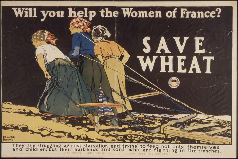 File:"Will you help the Women of France^ Save Wheat. They are struggling against starvation and trying to feed not only... - NARA - 512574.tif