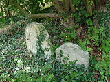 Čeština: Náhrobky na židovském hřbitově ve Zbraslavicích, okres Kutná Hora. English: Gravestones in the Jewish cemetery in Zbraslavice, Kutná Hora District, Central Bohemian Region, Czech Republic.