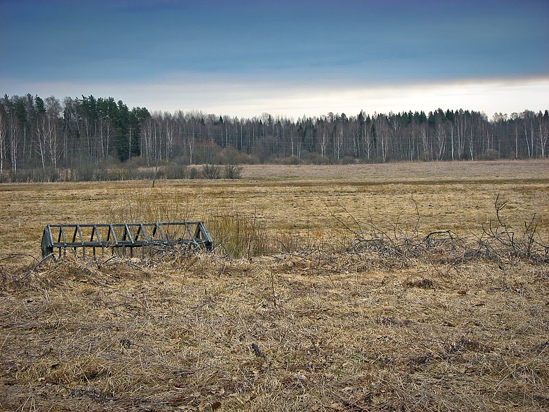 File:Заброшенные поля - panoramio.jpg