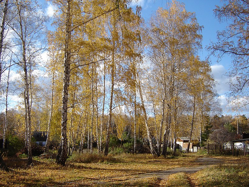 File:Золотая осень на Южном Урале (2) - panoramio.jpg
