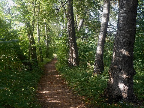 Parco dell'Orlino