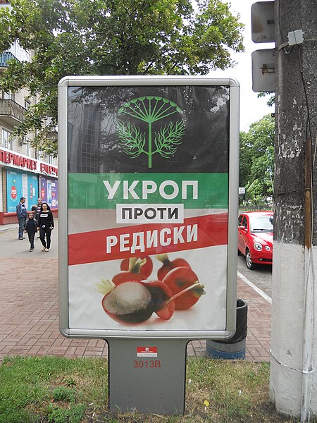 File:Укроп проти редискиDSCN2293.JPG