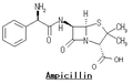構造式 Ampicillin.png