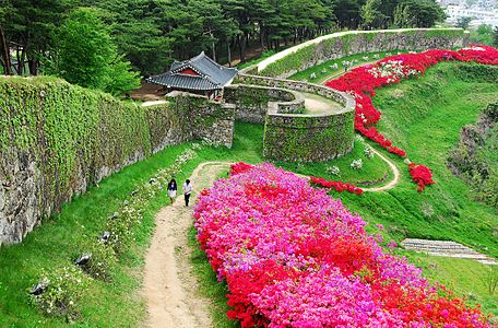 고창읍성 (Gochangeupseong Fortress) Photograph: Leeyoungbum