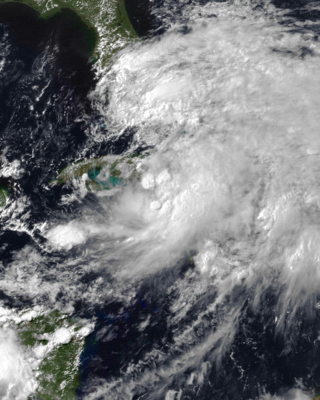 <span class="mw-page-title-main">Tropical Depression One (1993)</span> Atlantic tropical depression in 1993