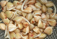 Buckwheat sprouts 1-day-old buckwheat sprouts.jpg