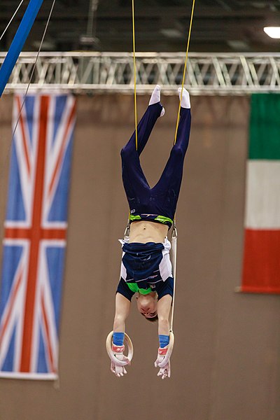 File:15th Austrian Future Cup 2018-11-24 Tim Landolt (Norman Seibert) - 06252.jpg