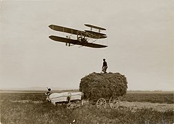 Photgraphie en noir et blanc d'un attelage bovin survolé par un avion.