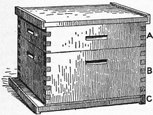 Langstroth hive 1911 Britannica - Bee - Langstroth Hive.png