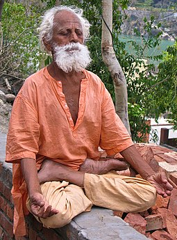 Padmasana or Lotus pose is among the twelve meditation asanas named in the Bhasya commentary accompanying the Yoga Sutras of Patanjali. 1 Sannyasi in yoga meditation on the Ganges, Rishikesh cropped.jpg