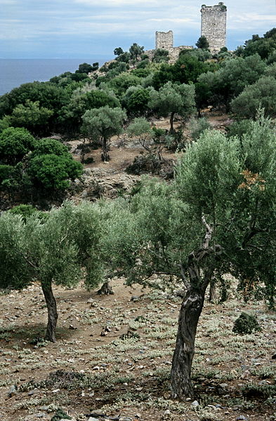 File:20020800 Paleopolis Samothrace island Thrace Greece.jpg