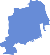 2008 United States House of Representatives Election in New York's 4th Congressional District.svg
