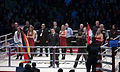 2011 boxing event in Stožice Arena-Christina Hammer I.jpg