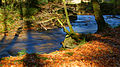 * Nomination Savoureuse river, in Lepuix, France. --ComputerHotline 18:43, 28 October 2013 (UTC) * Decline Blur top left is disturbing. --Mattbuck 10:33, 3 November 2013 (UTC)