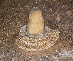 Stalagmite dans la grotte Niedźwiedzia, dans les monts Śnieżnik (Pologne). (définition réelle 3 521 × 2 946)