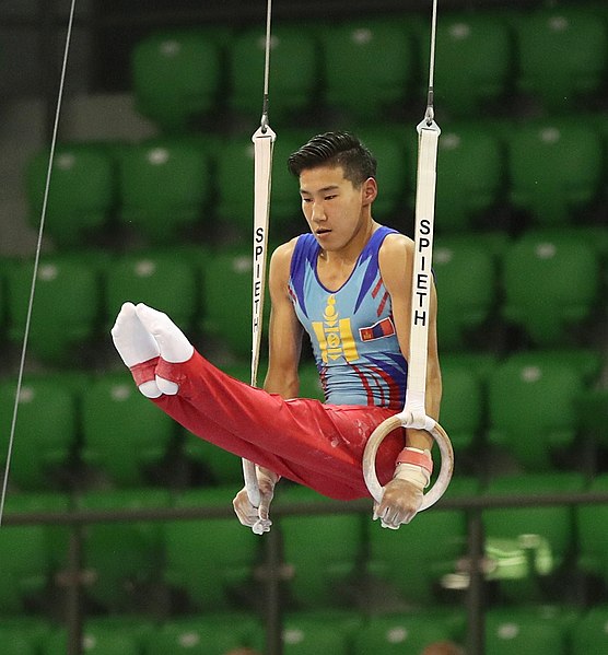 File:2019-06-27 1st FIG Artistic Gymnastics JWCH Men's All-around competition Subdivision 3 Still rings (Martin Rulsch) 310.jpg