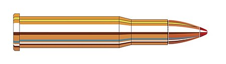 The .32 WS cartridge 32 Winchester Special 165gr FTX 2D.jpg