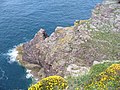 Cap Frehel-Über 70m ragt das aus rotem Sandstein und schwarzen Schiefer bestehende Cap Frehel aus dem Meer empor-Cote de Emeraude,Village Plevenon.