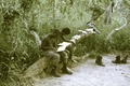 PAIGC Military men learning to read and write
